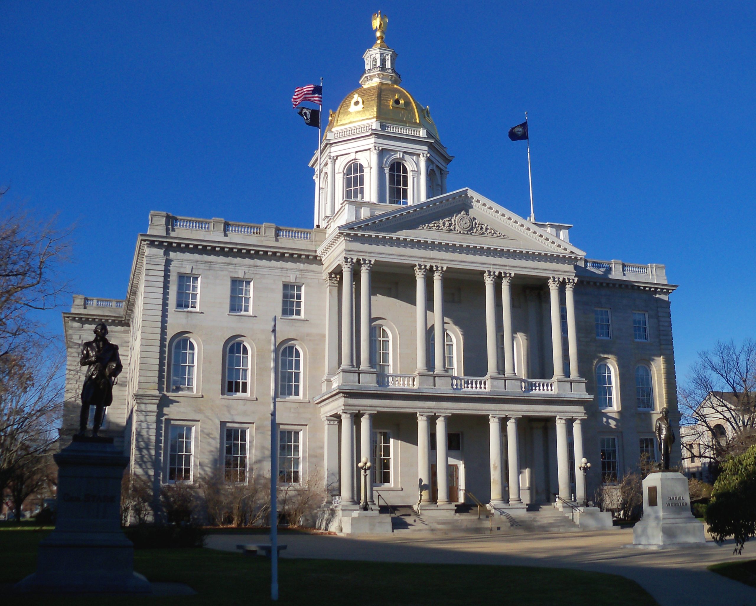 New Hampshire Business Entity Search NH Naming Guidelines & Details