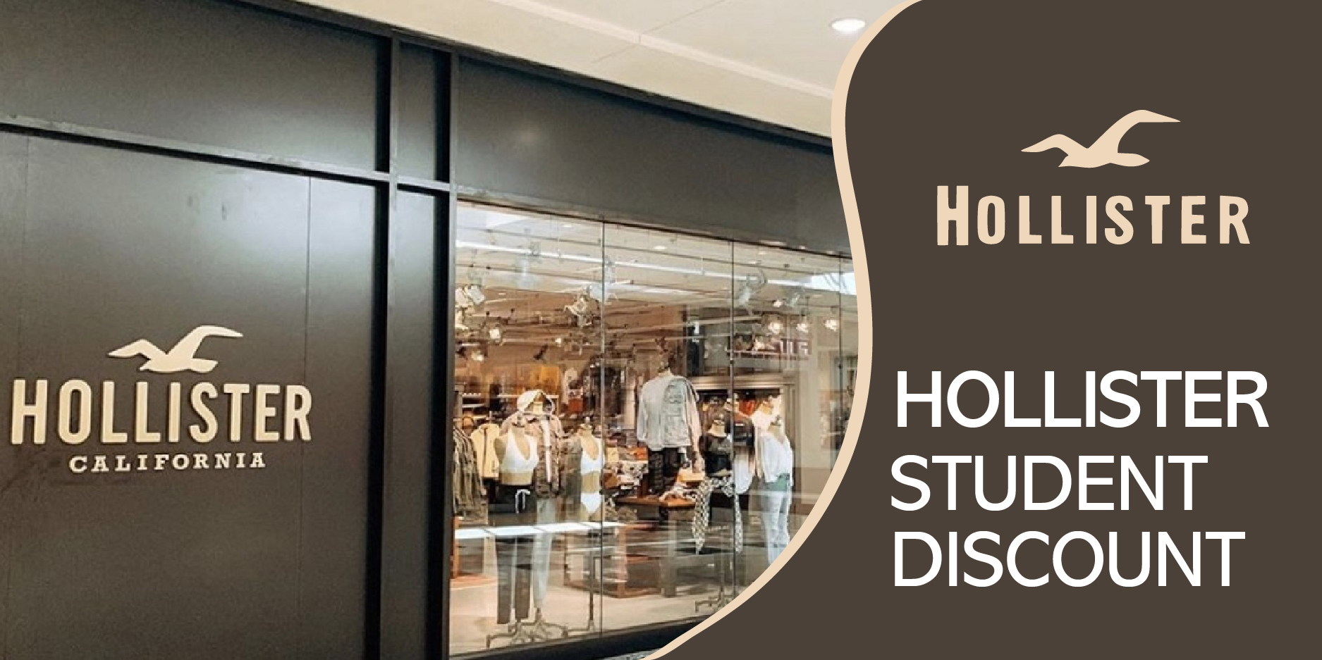 Hollister_Student Discount
